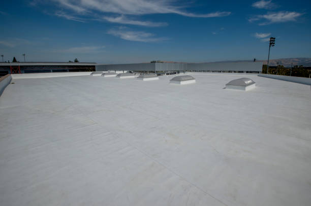 Best Roof Coating and Sealing  in Rkside, PA